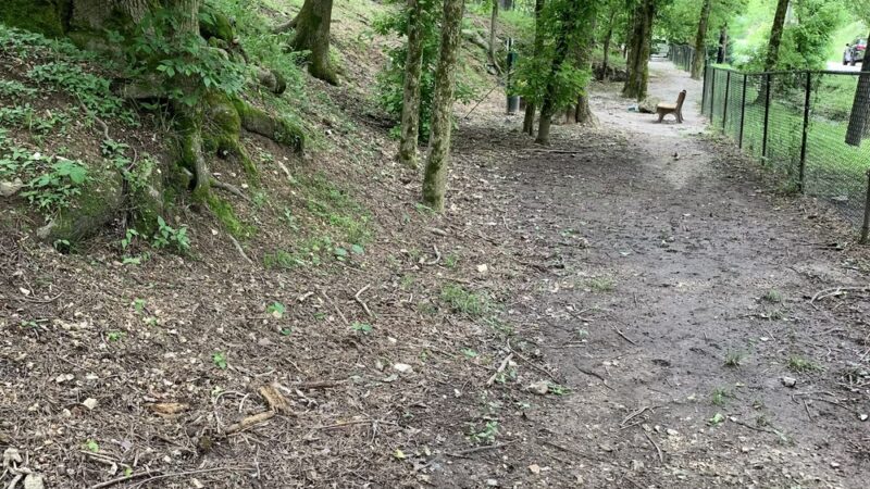 Bark Park Dog Park - Eureka Springs, AR