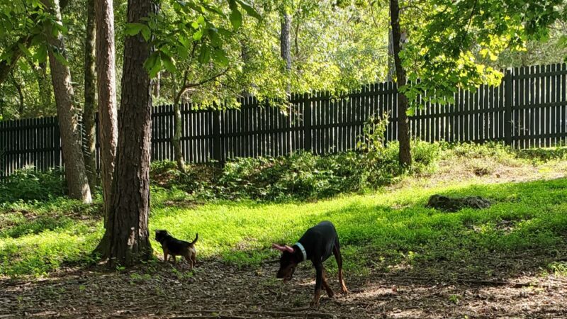 Bark Park Dog Park - Eureka Springs, AR