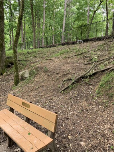 Bark Park Dog Park - Eureka Springs, AR