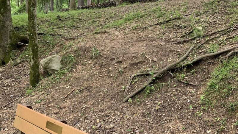 Bark Park Dog Park - Eureka Springs, AR