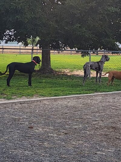 Freedom Park - Evans, CO