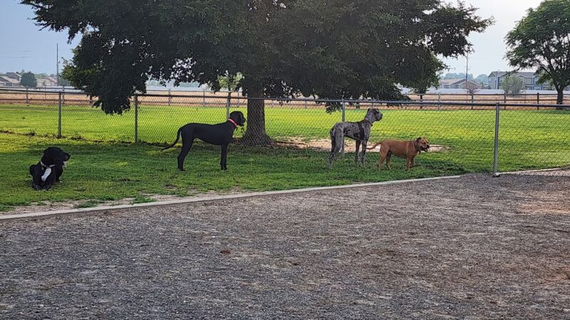Freedom Park - Evans, CO