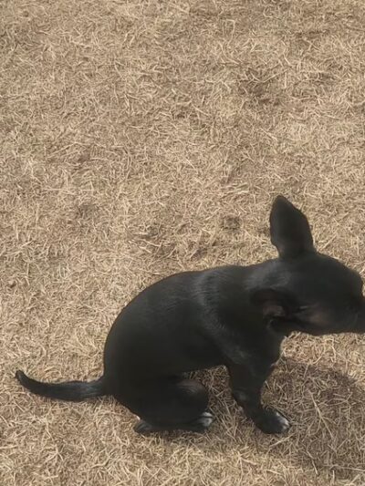 Freedom Park - Evans, CO