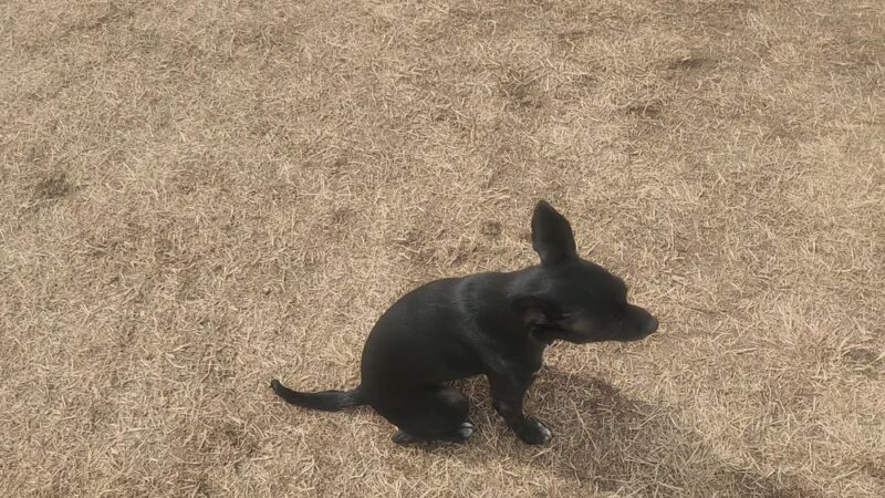 Freedom Park - Evans, CO