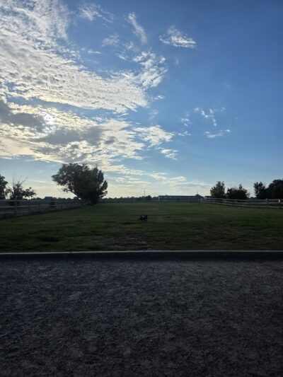 Freedom Park - Evans, CO