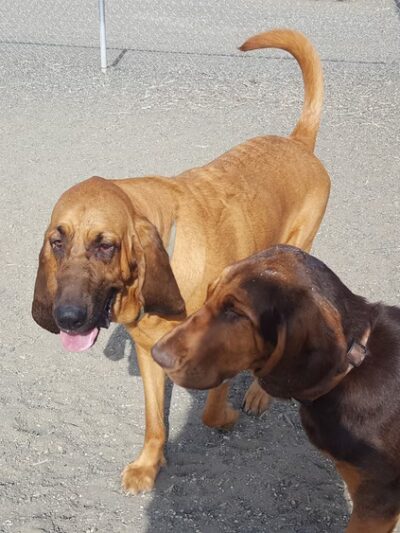 Freedom Park - Evans, CO