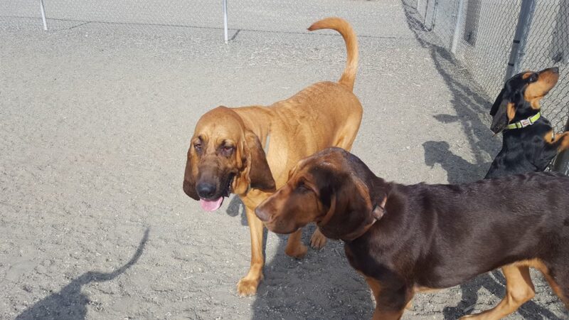 Freedom Park - Evans, CO