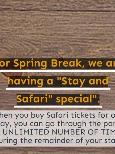 Buena Vista Wildlife Safari and RV Park - Evant, TX