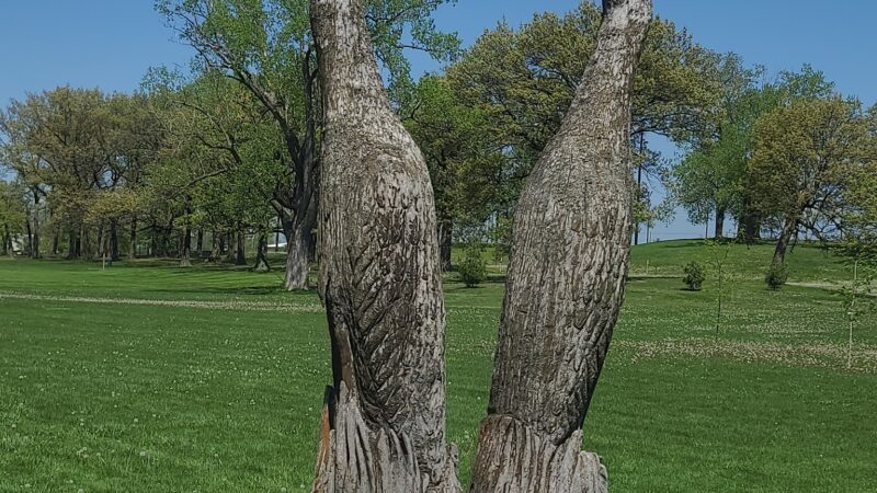 50-Acre Park - Evergreen Park, IL