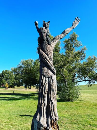 50-Acre Park - Evergreen Park, IL