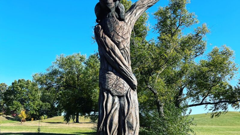 50-Acre Park - Evergreen Park, IL