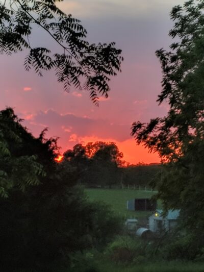 Dyes Park - Everton, MO