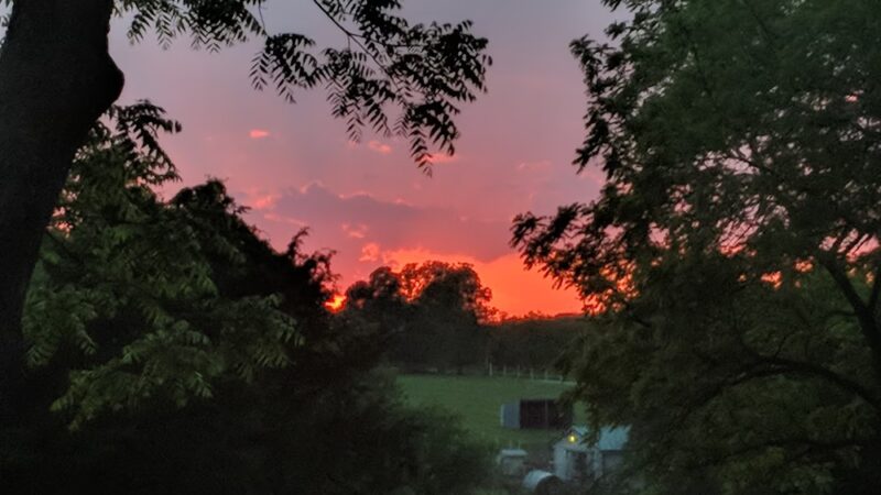 Dyes Park - Everton, MO