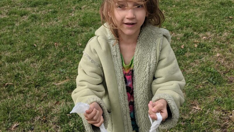 Dyes Park - Everton, MO