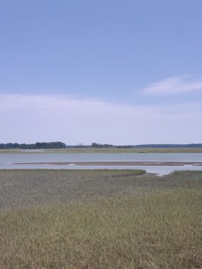Willis Wharf Boat Ramp - Exmore, VA