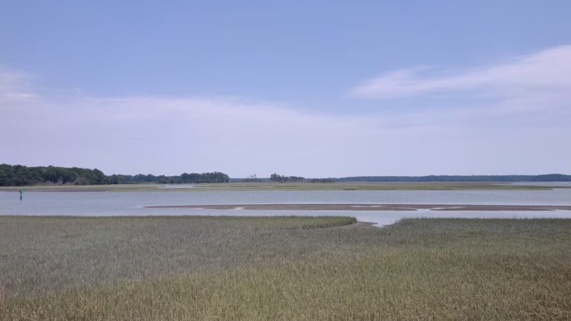 Willis Wharf Boat Ramp - Exmore, VA