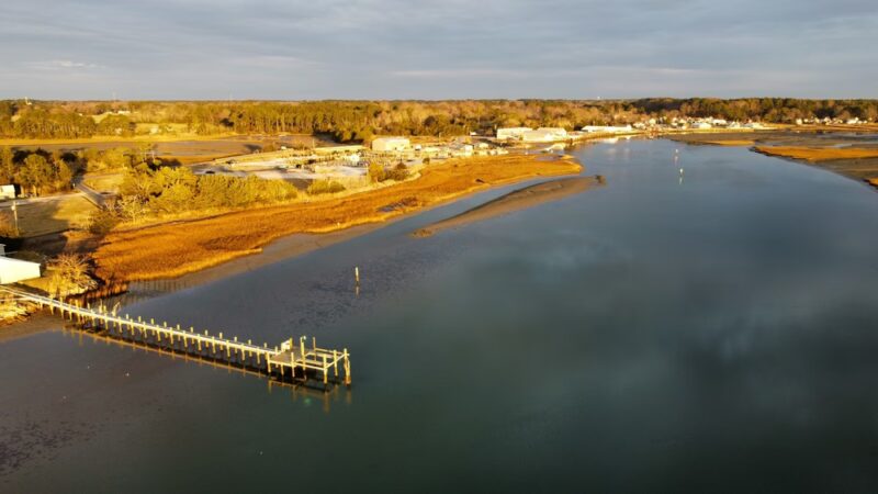 Willis Wharf Boat Ramp - Exmore, VA