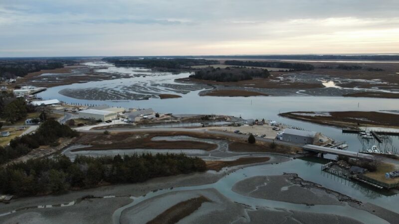 Willis Wharf Boat Ramp - Exmore, VA