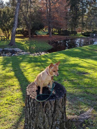 Baird Park - Exton, PA