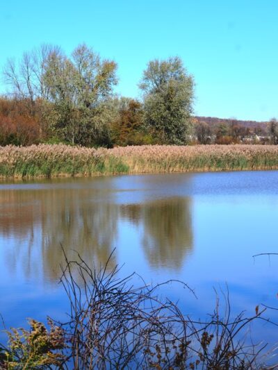 Exton Park - Exton, PA