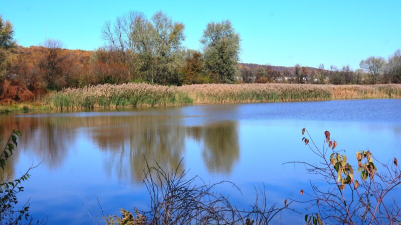 Exton Park - Exton, PA