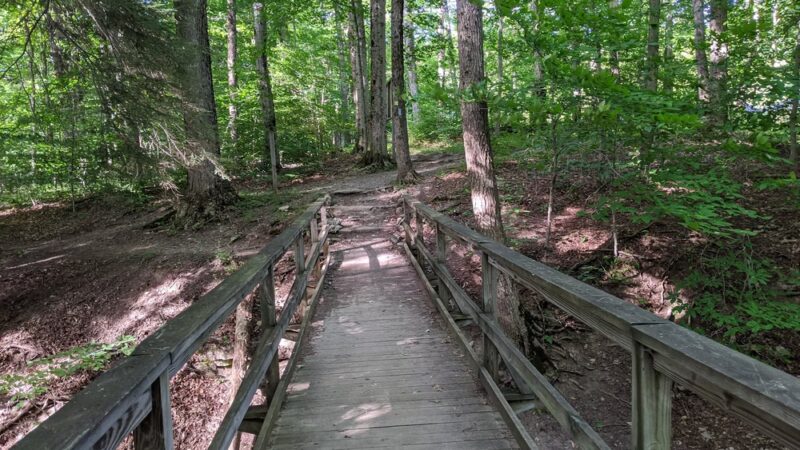 Highland Forest County Park - Fabius, NY