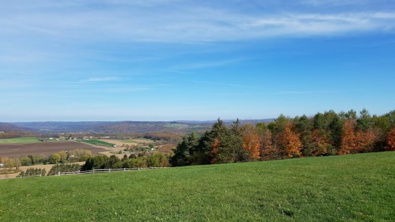 Highland Forest County Park - Fabius, NY