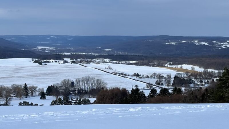Highland Forest County Park - Fabius, NY