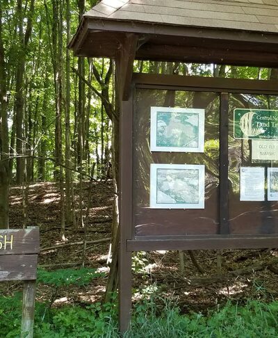 The Old Fly Marsh - Fabius, NY