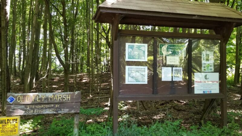 The Old Fly Marsh - Fabius, NY