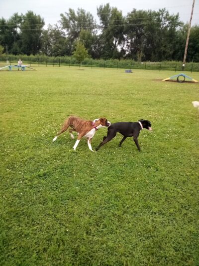 Fairfax City Sports and Park Complex - Fairfax, IA