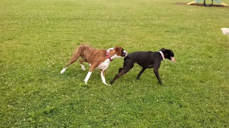 Fairfax City Sports and Park Complex - Fairfax, IA