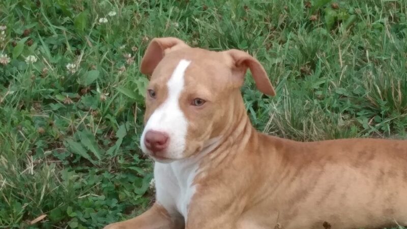 Lions park - Fairfax, MN