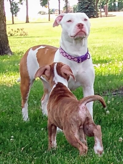 Lions park - Fairfax, MN