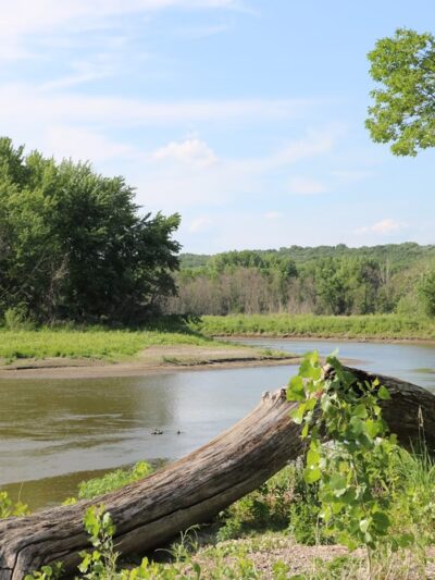 Mack Lake County Park - Fairfax, MN