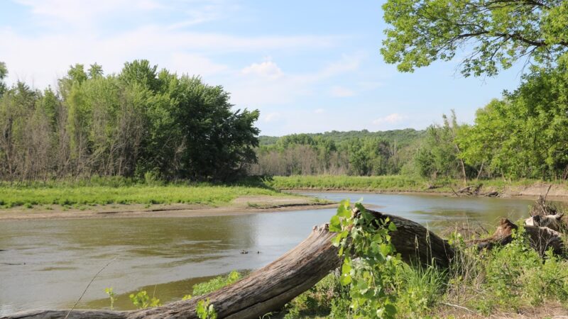 Mack Lake County Park - Fairfax, MN