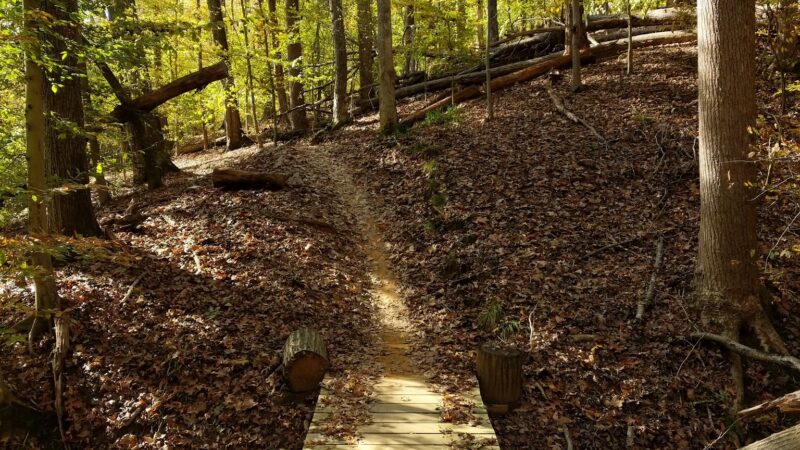 Fountainhead Regional Park - Fairfax Station, VA