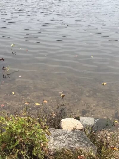 Fountainhead Regional Park - Fairfax Station, VA