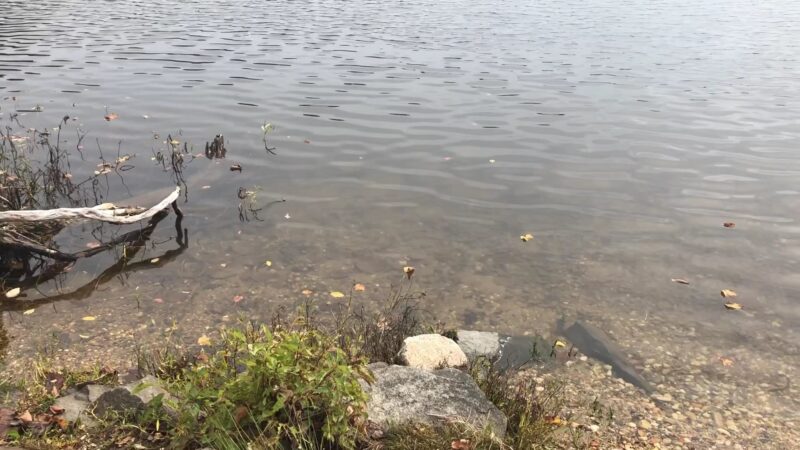 Fountainhead Regional Park - Fairfax Station, VA