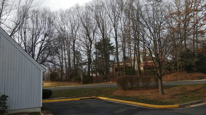 Alder Woods Park - Fairfax, VA
