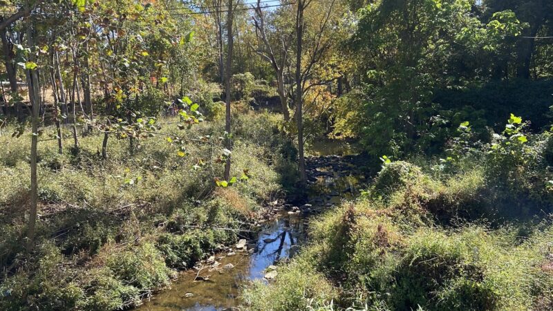 Armistead Park - Fairfax, VA