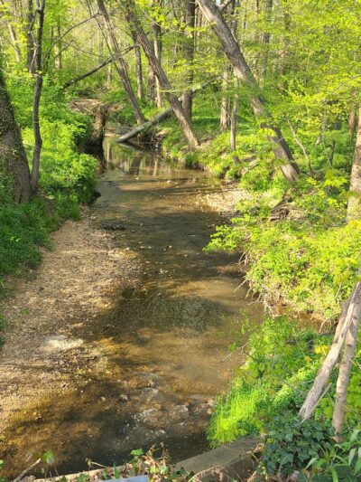 Armistead Park - Fairfax, VA