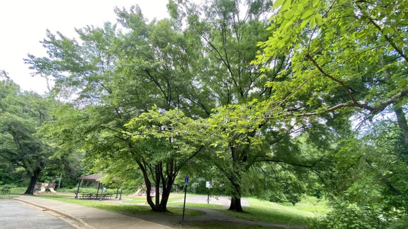 Eakin Park (Mantua Section) - Fairfax, VA