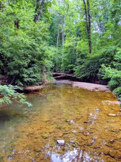 Eakin Park (Mantua Section) - Fairfax, VA