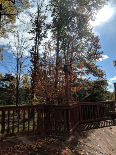 Franklin Glen Park - Fairfax, VA