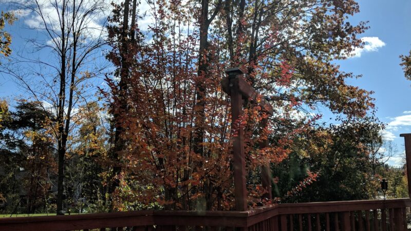 Franklin Glen Park - Fairfax, VA