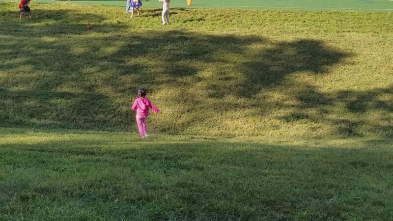 Greenbriar Park - Fairfax, VA