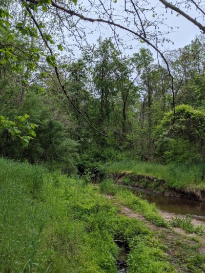 Greenbriar Park - Fairfax, VA