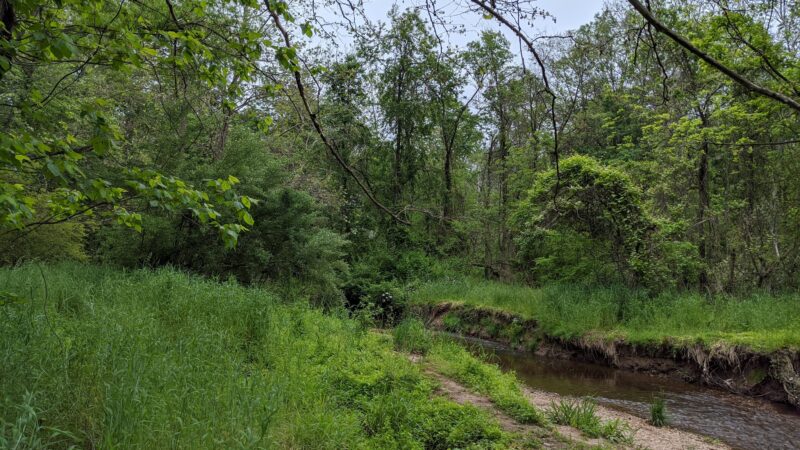 Greenbriar Park - Fairfax, VA