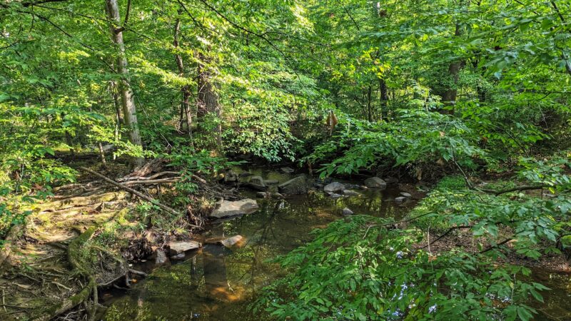 Rocky Run Stream Valley Trail - Fairfax, VA